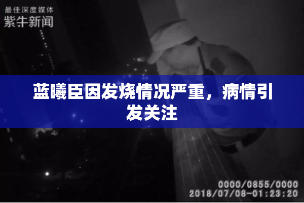 蓝曦臣因发烧情况严重，病情引发关注