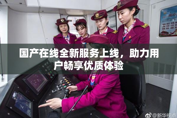 国产在线全新服务上线，助力用户畅享优质体验