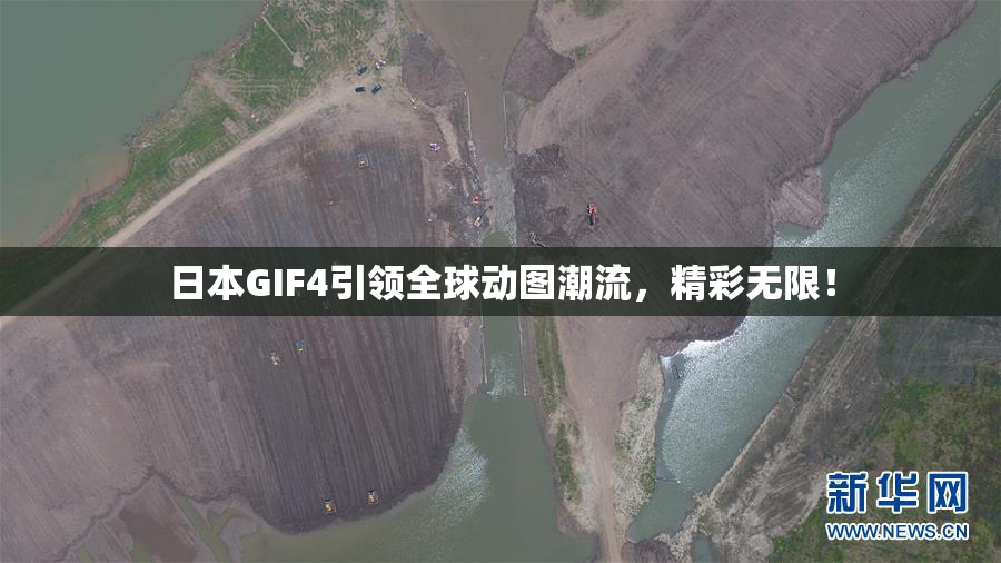 日本GIF4引领全球动图潮流，精彩无限！