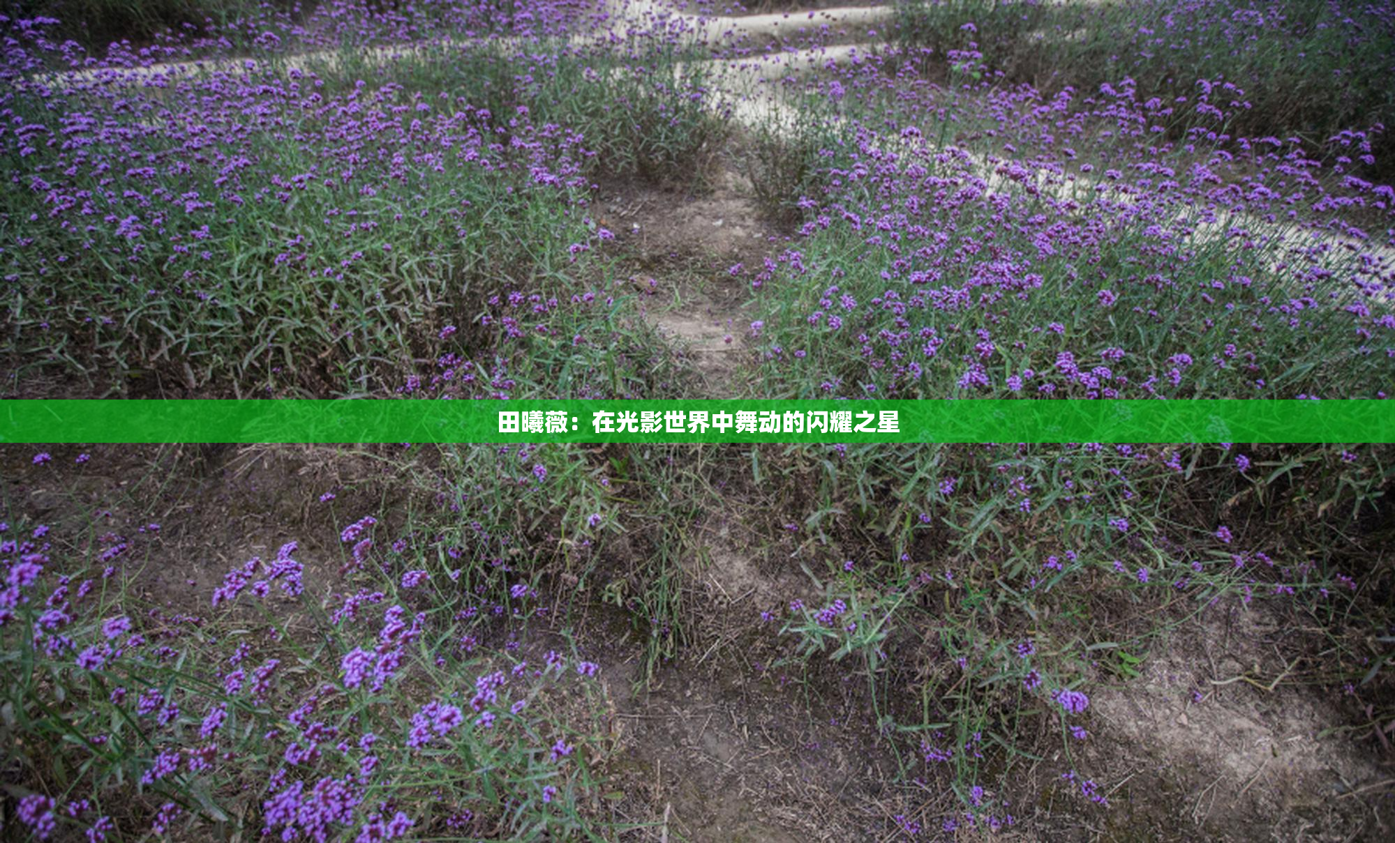 田曦薇：在光影世界中舞动的闪耀之星