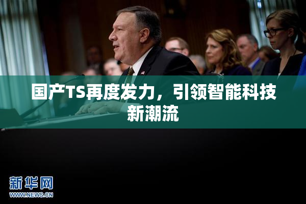 国产TS再度发力，引领智能科技新潮流
