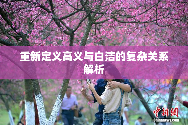 重新定义高义与白洁的复杂关系解析