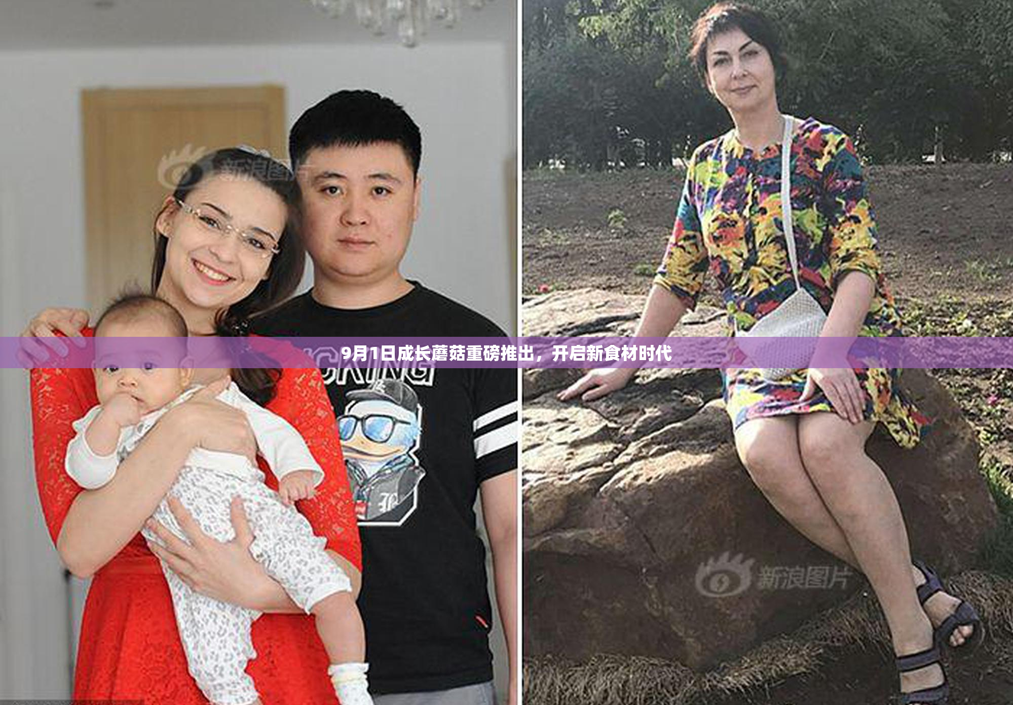 9月1日成长蘑菇重磅推出，开启新食材时代