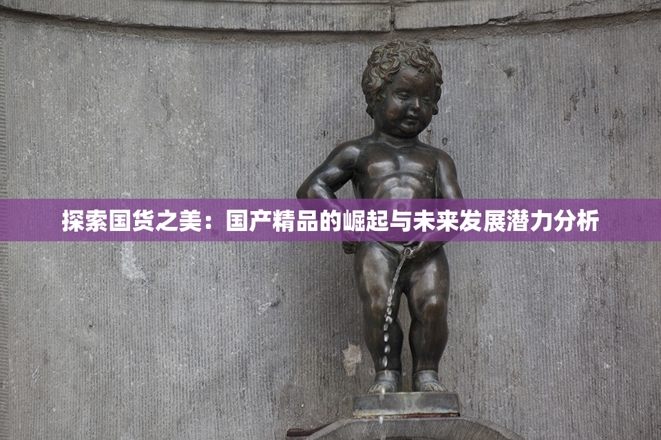 探索国货之美：国产精品的崛起与未来发展潜力分析