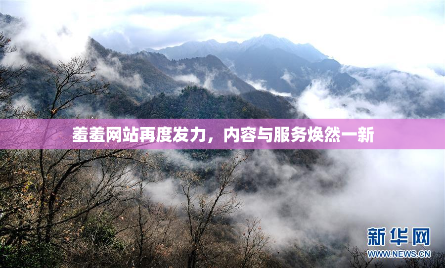 羞羞网站再度发力，内容与服务焕然一新