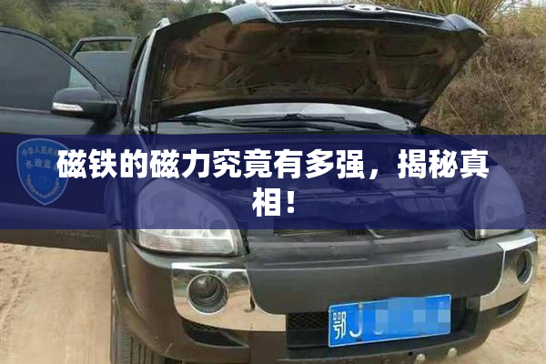 磁铁的磁力究竟有多强，揭秘真相！