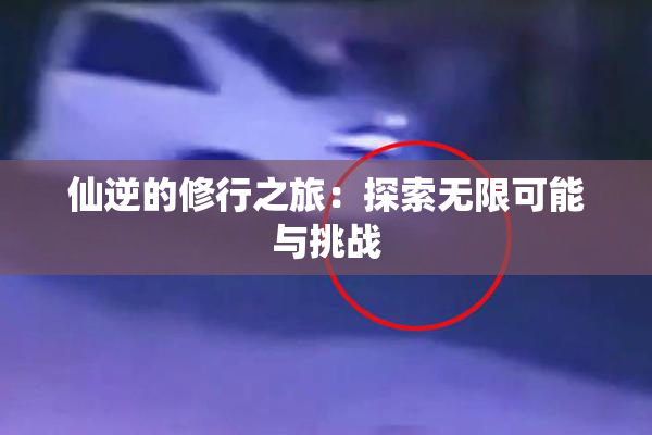 仙逆的修行之旅：探索无限可能与挑战