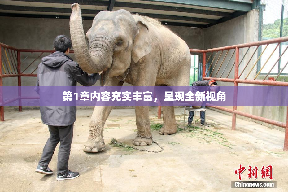 第1章内容充实丰富，呈现全新视角