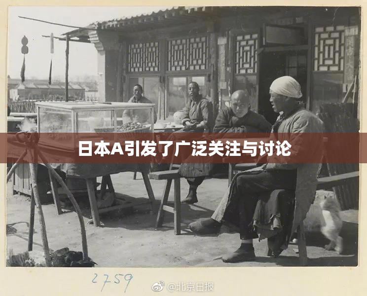日本A引发了广泛关注与讨论