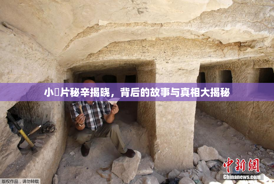小黃片秘辛揭晓，背后的故事与真相大揭秘