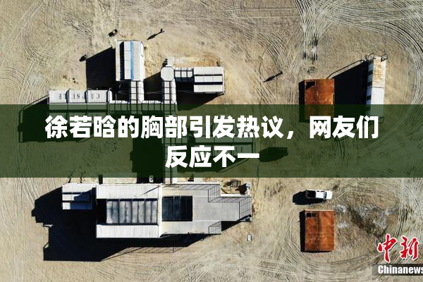 徐若晗的胸部引发热议，网友们反应不一