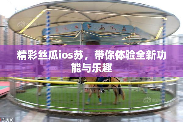 精彩丝瓜ios苏，带你体验全新功能与乐趣