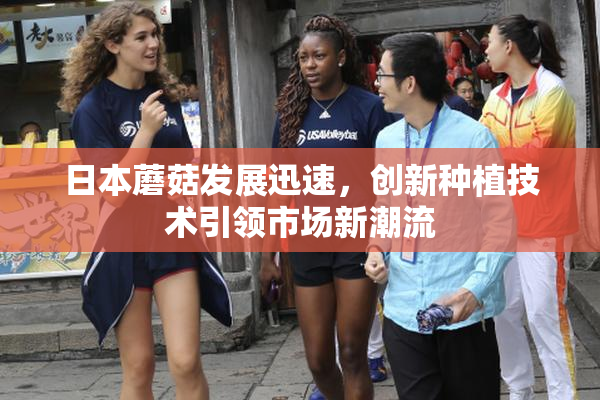 日本蘑菇发展迅速，创新种植技术引领市场新潮流