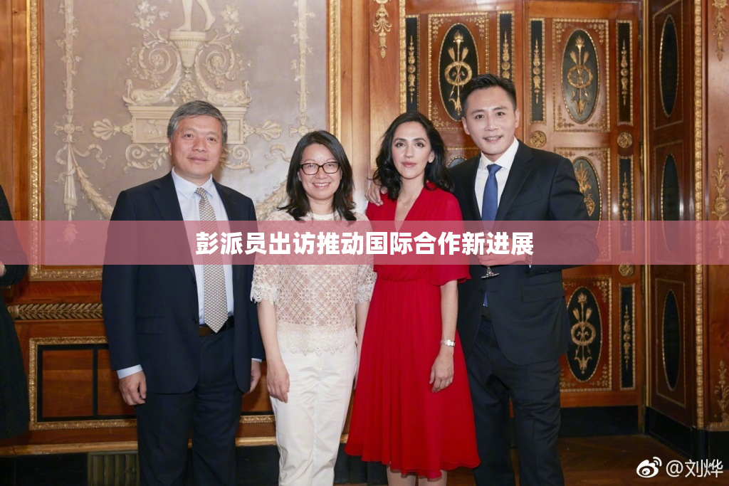 彭派员出访推动国际合作新进展