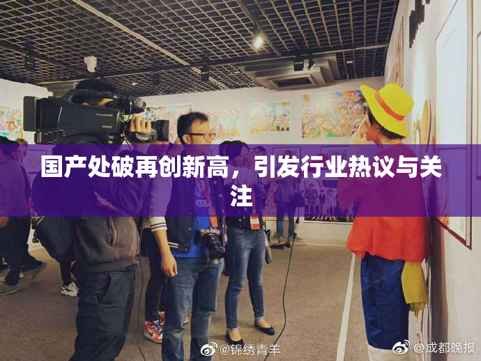 国产处破再创新高，引发行业热议与关注