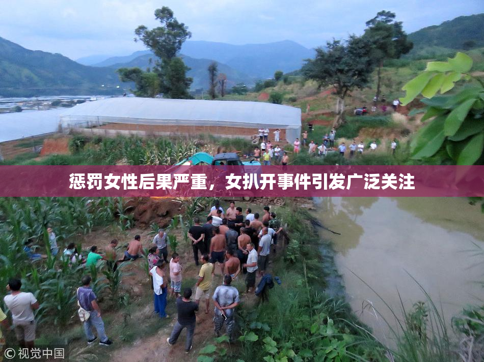 惩罚女性后果严重，女扒开事件引发广泛关注