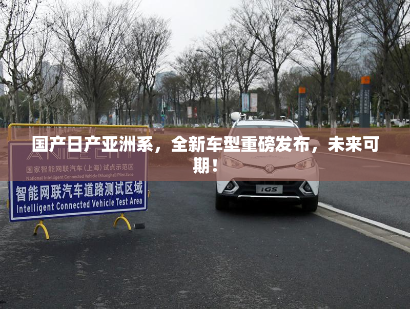 国产日产亚洲系，全新车型重磅发布，未来可期！
