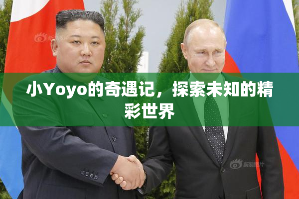 小Yoyo的奇遇记，探索未知的精彩世界