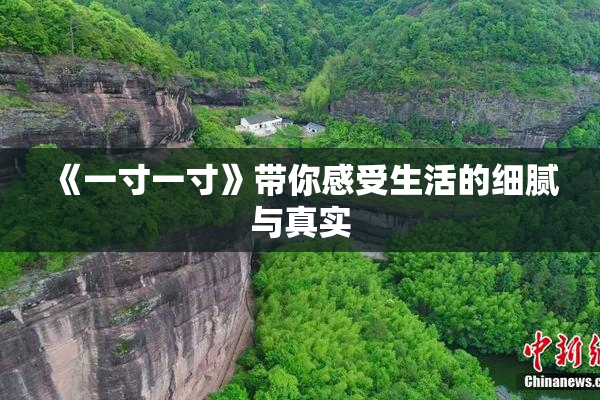 《一寸一寸》带你感受生活的细腻与真实