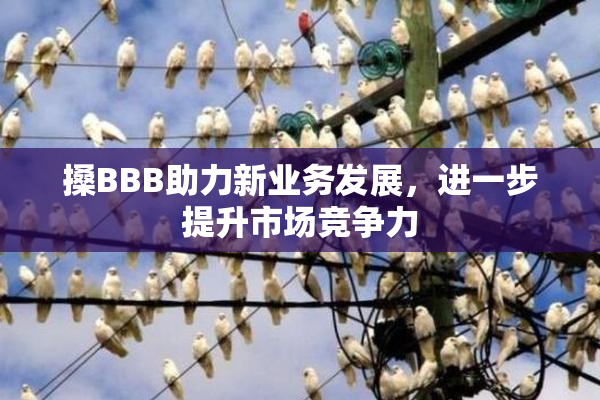 搡BBB助力新业务发展，进一步提升市场竞争力