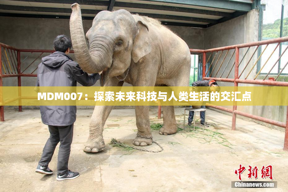 MDM007：探索未来科技与人类生活的交汇点