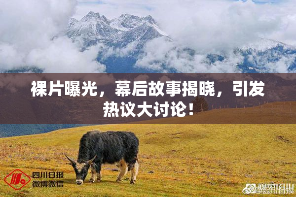 裸片曝光，幕后故事揭晓，引发热议大讨论！