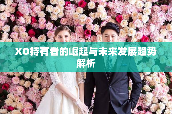 XO持有者的崛起与未来发展趋势解析