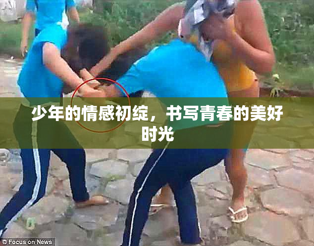 少年的情感初绽，书写青春的美好时光