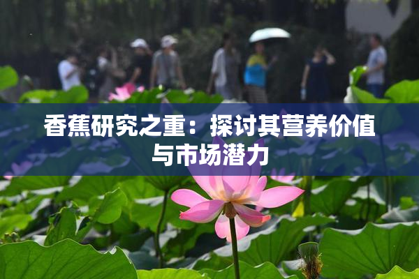 香蕉研究之重：探讨其营养价值与市场潜力