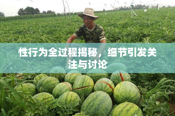 性行为全过程揭秘，细节引发关注与讨论