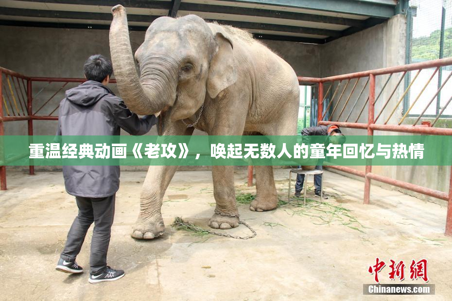 重温经典动画《老攻》，唤起无数人的童年回忆与热情