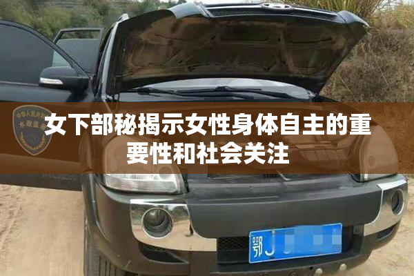 女下部秘揭示女性身体自主的重要性和社会关注