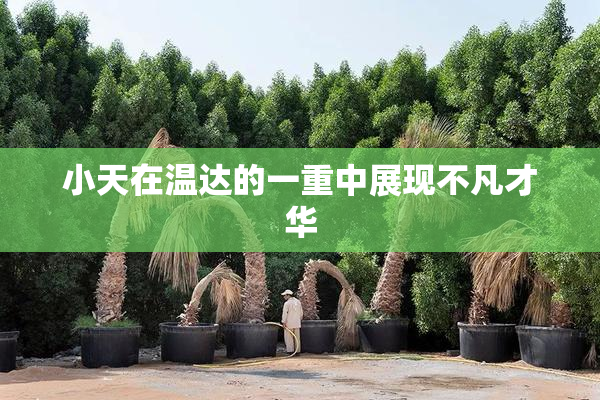 小天在温达的一重中展现不凡才华