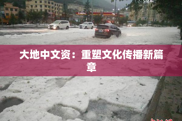 大地中文资：重塑文化传播新篇章