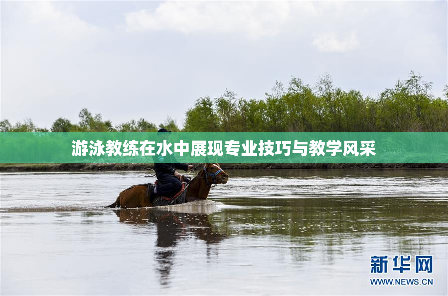 游泳教练在水中展现专业技巧与教学风采