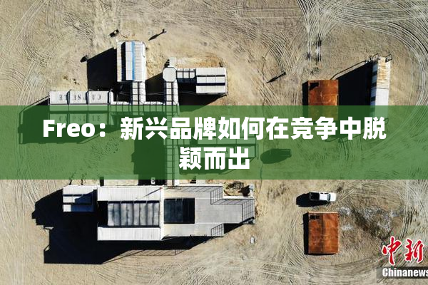Freo：新兴品牌如何在竞争中脱颖而出
