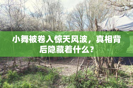 小舞被卷入惊天风波，真相背后隐藏着什么？