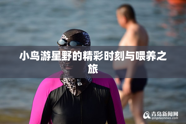 小鸟游星野的精彩时刻与喂养之旅