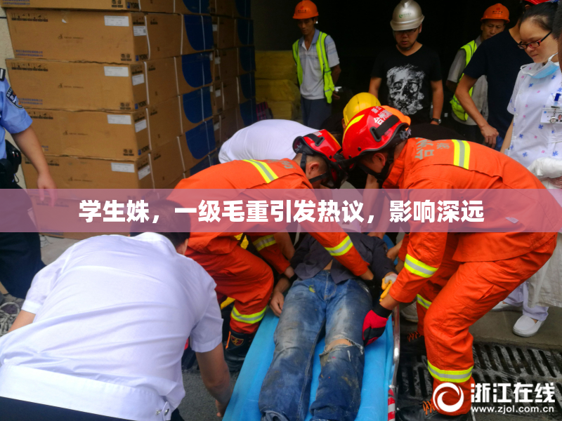 学生姝，一级毛重引发热议，影响深远