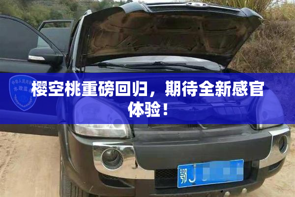 樱空桃重磅回归，期待全新感官体验！