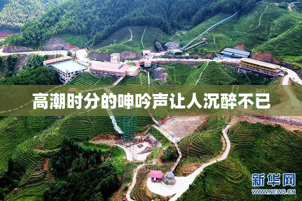 高潮时分的呻吟声让人沉醉不已