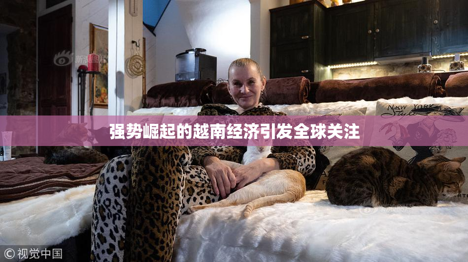 强势崛起的越南经济引发全球关注