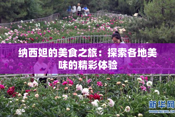 纳西妲的美食之旅：探索各地美味的精彩体验