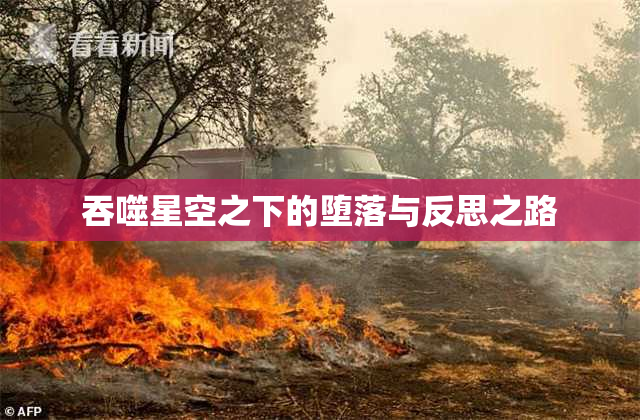 吞噬星空之下的堕落与反思之路