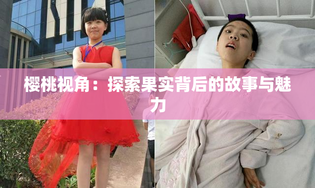 樱桃视角：探索果实背后的故事与魅力