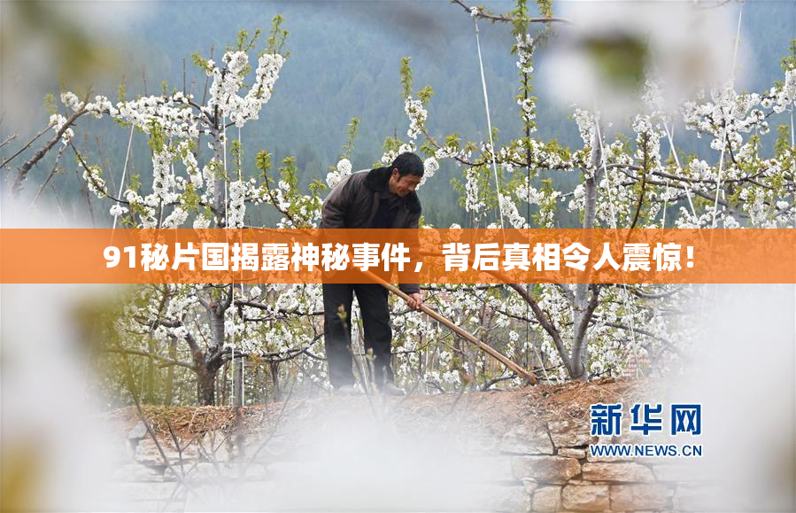 91秘片国揭露神秘事件，背后真相令人震惊！