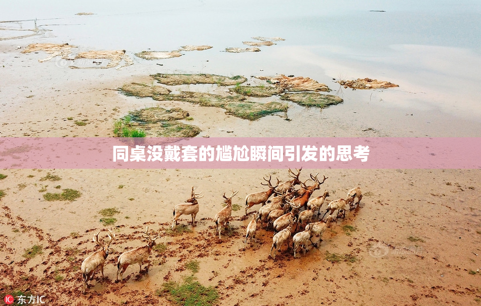 同桌没戴套的尴尬瞬间引发的思考