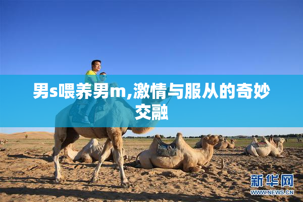 男s喂养男m,激情与服从的奇妙交融