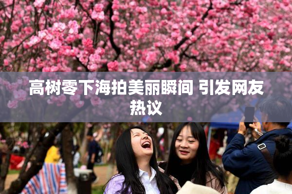 高树零下海拍美丽瞬间 引发网友热议