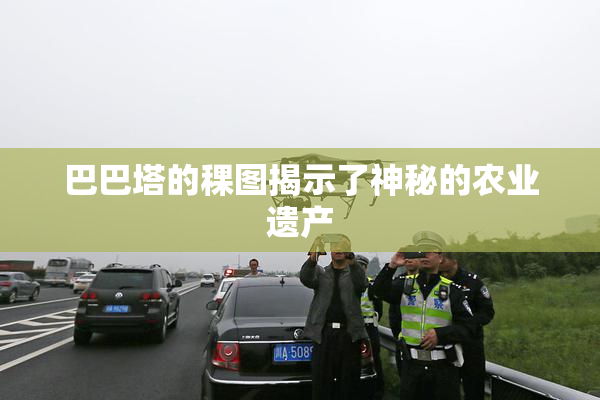 巴巴塔的稞图揭示了神秘的农业遗产